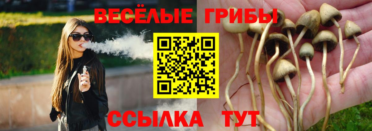 Псилоцибиновые грибы Psilocybine cubensis Калуга